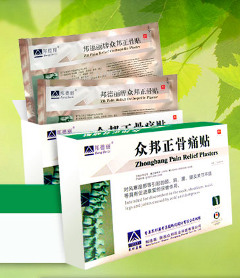 ZB Pain Relief - Ортопедический Пластырь - Черкесск